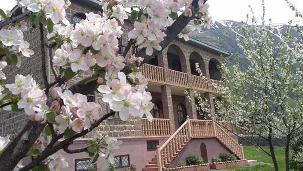 Max Hotel Gogi Alibegashvili Степанцмінда Екстер'єр фото